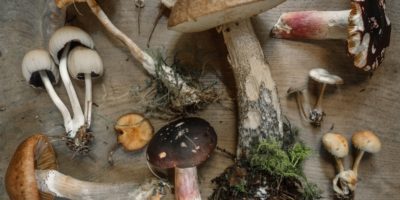 Kulajda nemusí být nudná - vyzkoušejte některý z těchto receptů! 7 photo 1512595765784 5ebad80772a3