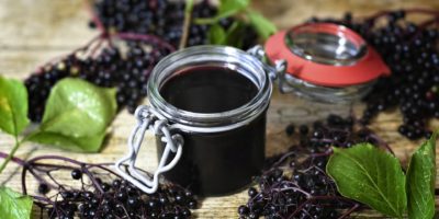 Bezinkový sirup - domácí medicína i skvělé osvěžení na léto 6 elder 4434794 1920